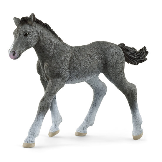 Schleich 13944 Trakehner Veulen