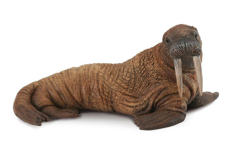 Collecta 88569 Walrus