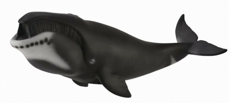 Collecta 88652 Groenlandse walvis