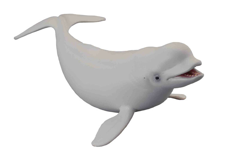 Collecta 88568 Beluga, Witte walvis