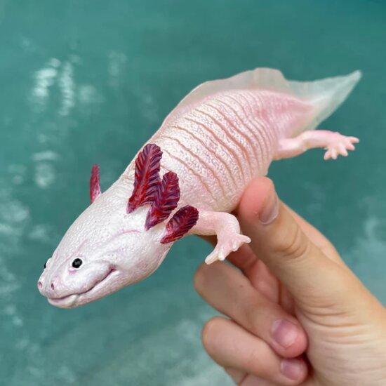 Safari 104650 Axolotl