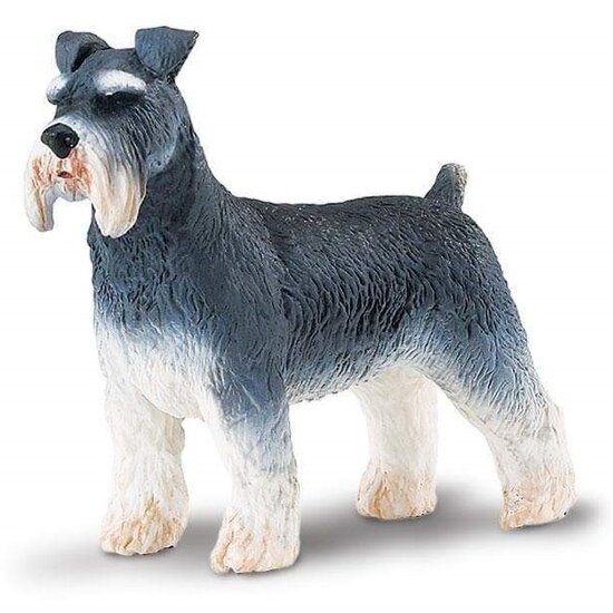 Safari Schnauzer hond 254329