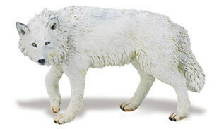 Safari 220029 Witte Wolf