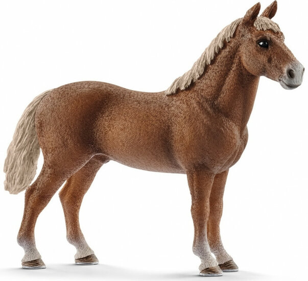 Schleich 13869 Morgan hengst