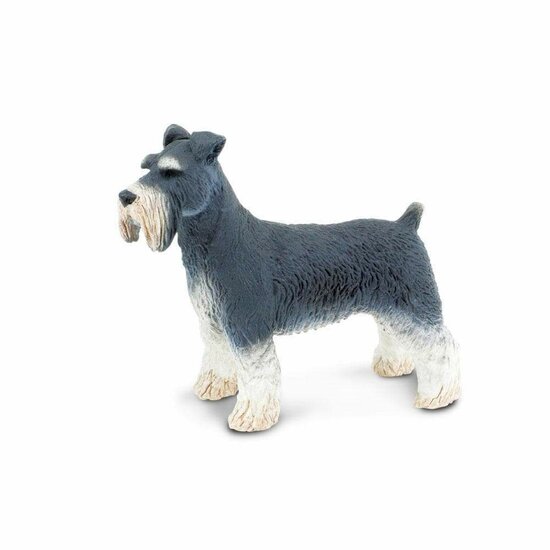 Safari Schnauzer hond 254329