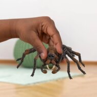 Schleich 13987 Aragog