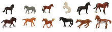 CollectA A1109 Mini Paarden Set (12 stuks)