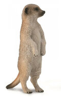 Collecta 88913 Meerkat / Stokstaartje