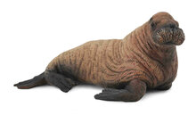 Collecta 88570 Walruskalf