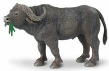 Safari 222729 Buffel