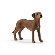 Schleich 13895 Rhodesische pronkrug