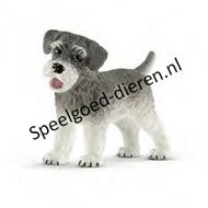 Schleich 13892 Dwergschnauzer