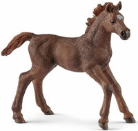 Schleich 13857 Engelse Volbloed veulen