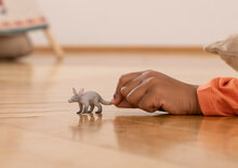 Schleich 14863 Aardvarken