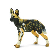 Safari 239729 Afrikaanse Wilde Hond