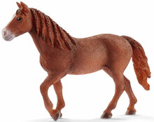 Schleich 13870 Morgan merrie