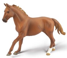 Collecta 80017 Phar lap