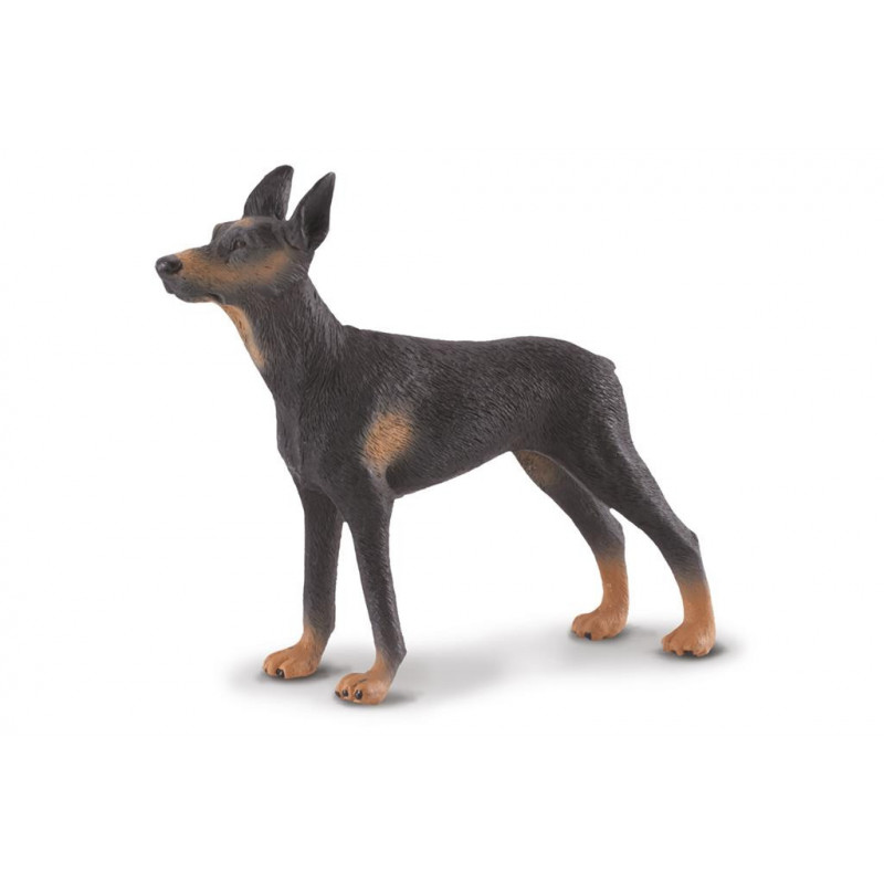 https://www.speelgoed-dieren.nl/11002-large_default/collecta-88086-doberman-pinscher.jpg