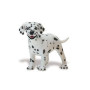 Safari 239629 Dalmatian Puppy