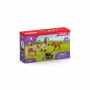 Schleich 41432 Kit Famille de mini-shetlands