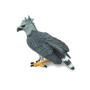 Safari 150929 Harpy Eagle