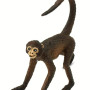 Safari 291629 Spider Monkey