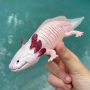 Safari 104650 Axolotl