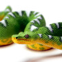 Safari 101084 Emerald Tree Boa