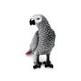 Safari 100201 Perroquet gris d'Afrique
