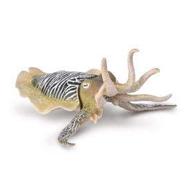 Collecta 80009 Common Cuttlefish