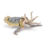 Collecta 80009 Common Cuttlefish