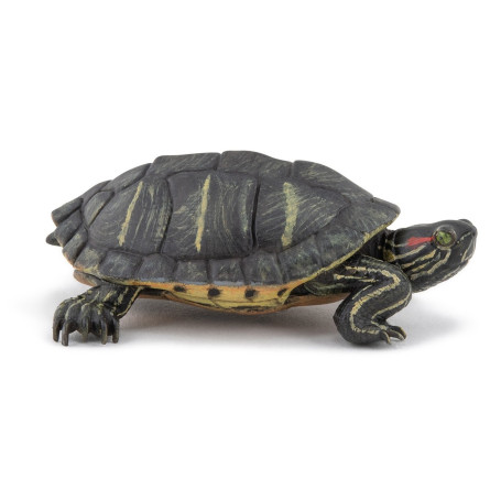 Papo 50309 Tortue de Floride